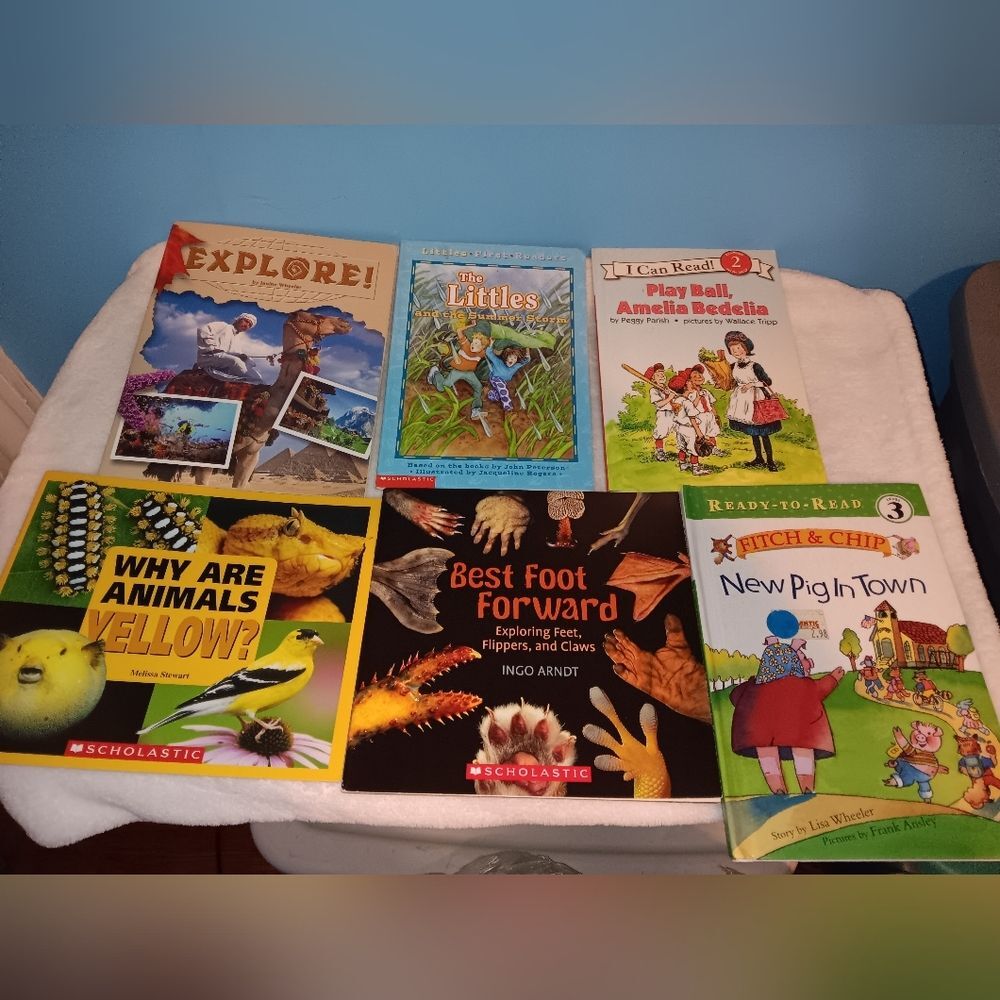 Scholastic & Ready to Read Lot of 6 Pre-owned Books